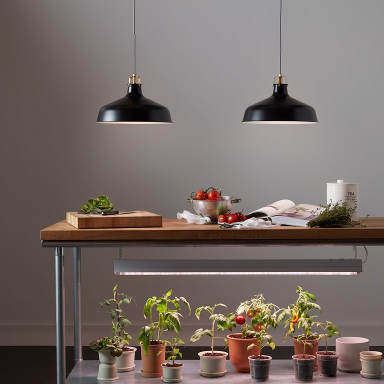 grow-light-pendant-0719