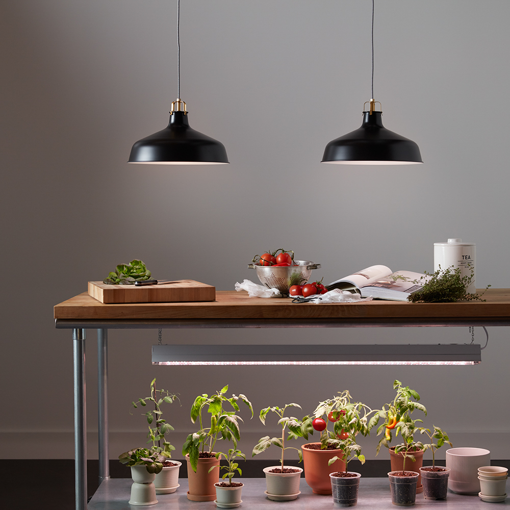 grow-light-pendant-0719